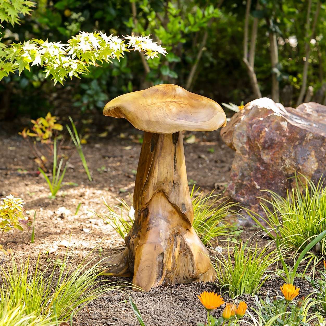 Habini Teak Wild Mushrooms - Medium
