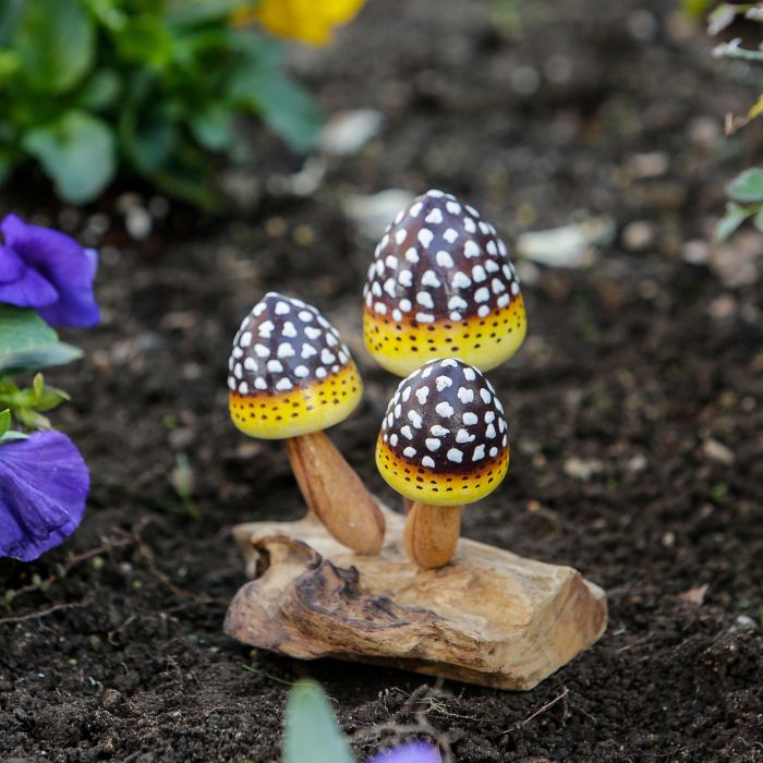 Parasite Pineapple Mushroom