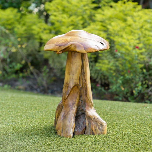 Habkini Teak Wild Mushrooms - Large