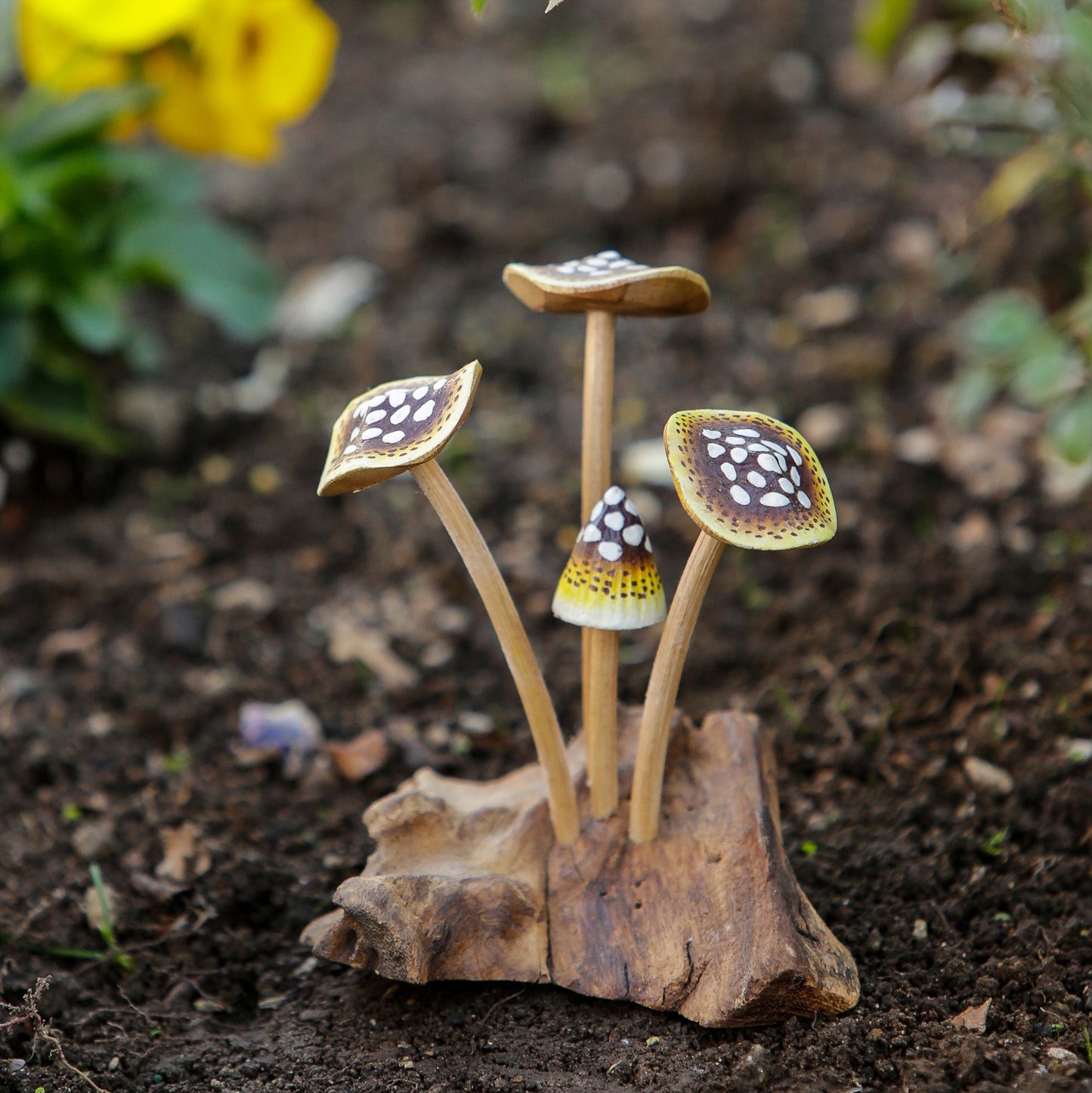 Parasite Kritik Mushroom