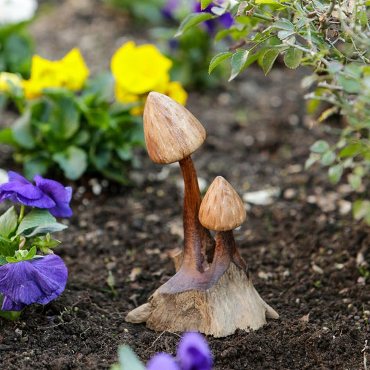 Shaggy Mushroom