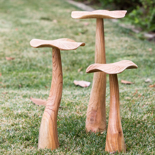 Chinaberry Mushroom Stakes